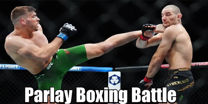 Strategi Jitu Raih Jackpot Besar di Parlay Boxing Battle